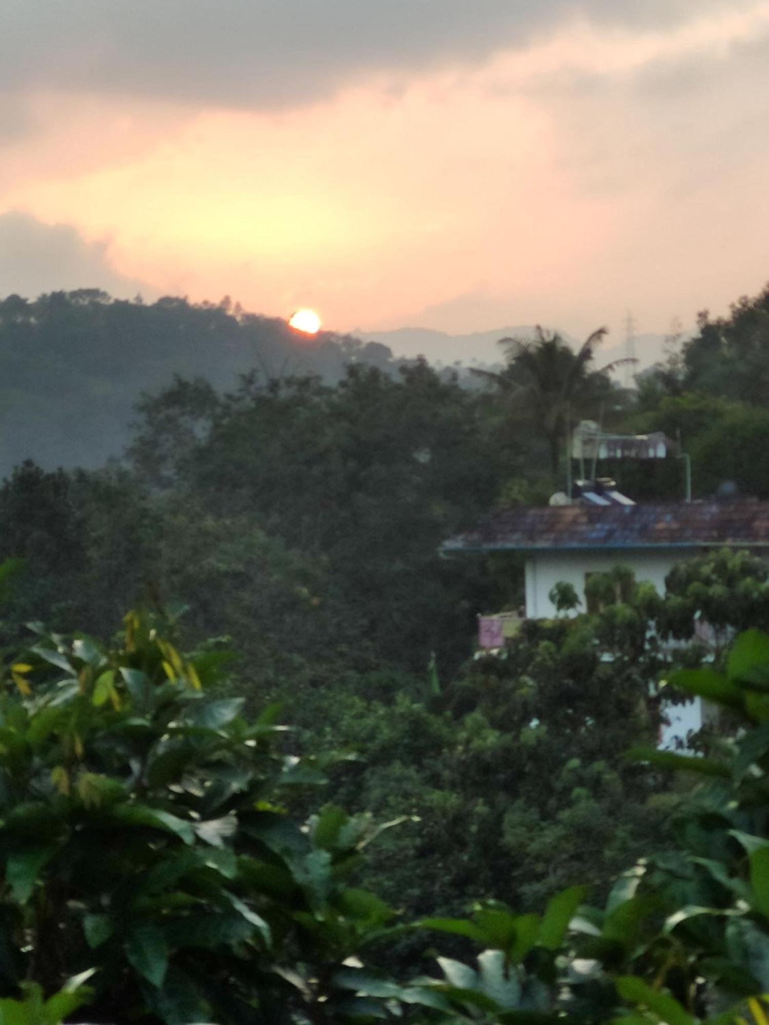 Soly'S Villa Homestay Муннар Экстерьер фото